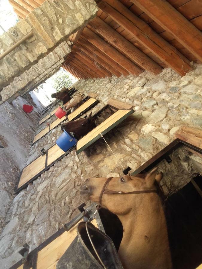 Agriturismo Al Pra Di Muriet Susa Εξωτερικό φωτογραφία